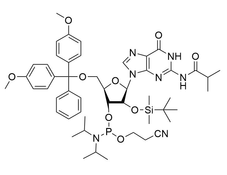 5'-O-DMT-2'-TBDMS-rG(N-iBu)-3' Phosphoramidite